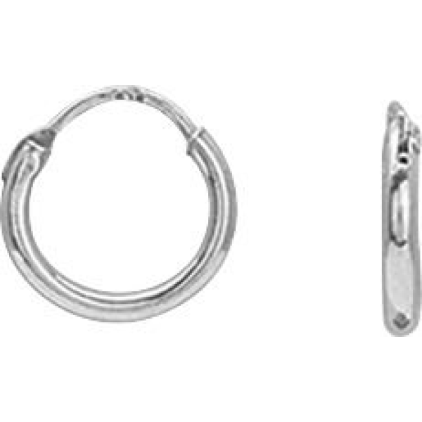 Boucles d'Oreilles  Argent 925/1000