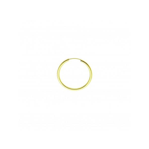 Boucles d'Oreilles  Or 375/1000