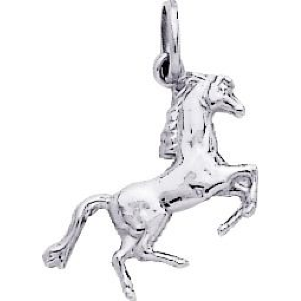 Pendentif  Argent 925/1000