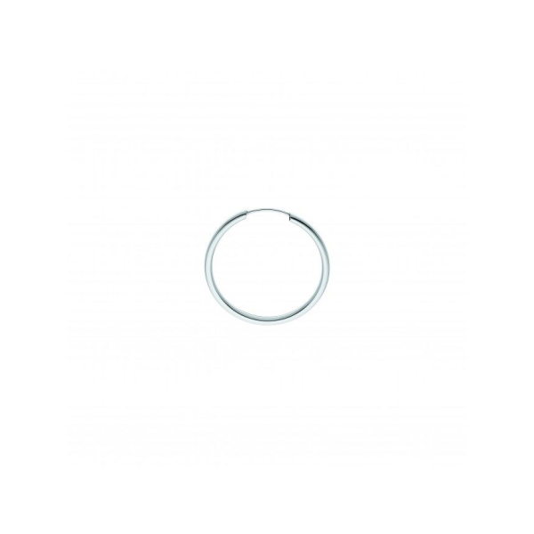 Boucles d'Oreilles  Or 375/1000