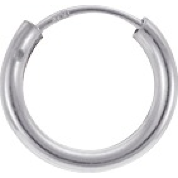 Boucles d'Oreilles  Argent 925/1000