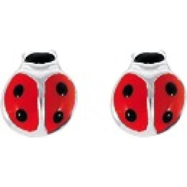 Boucles d'Oreilles  Argent 925/1000