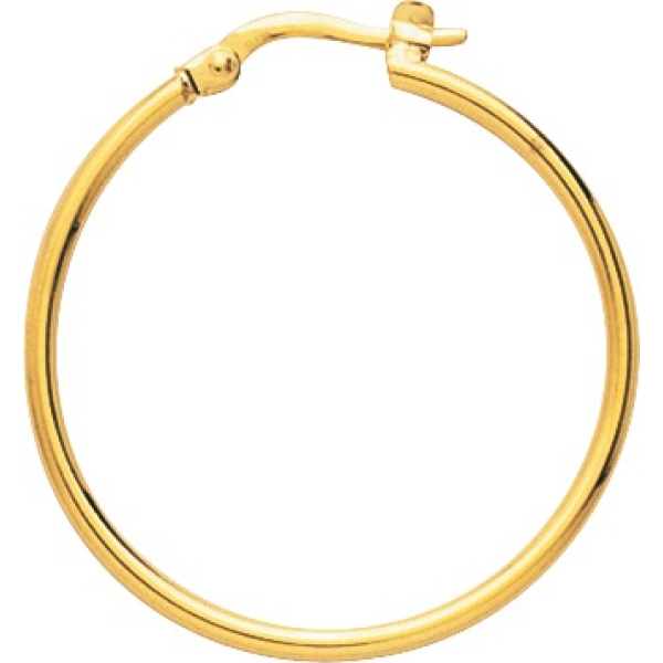 Boucles d'Oreilles  Plaqué Or