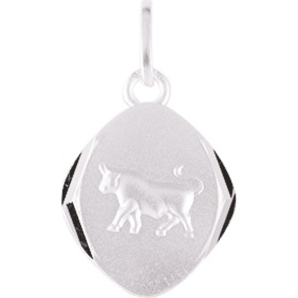 Pendentif  Argent 925/1000