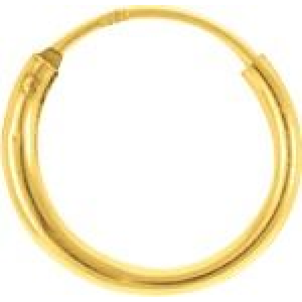 Boucles d'Oreilles  Plaqué Or