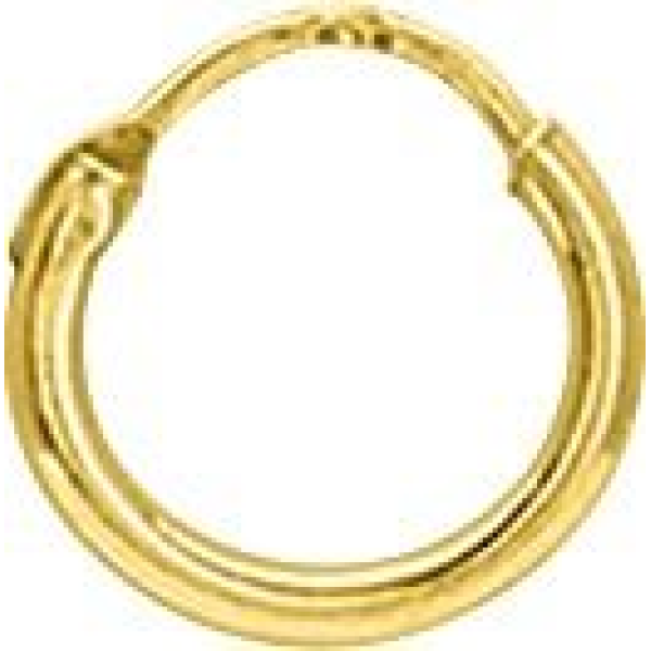 Boucles d'Oreilles  Plaqué Or