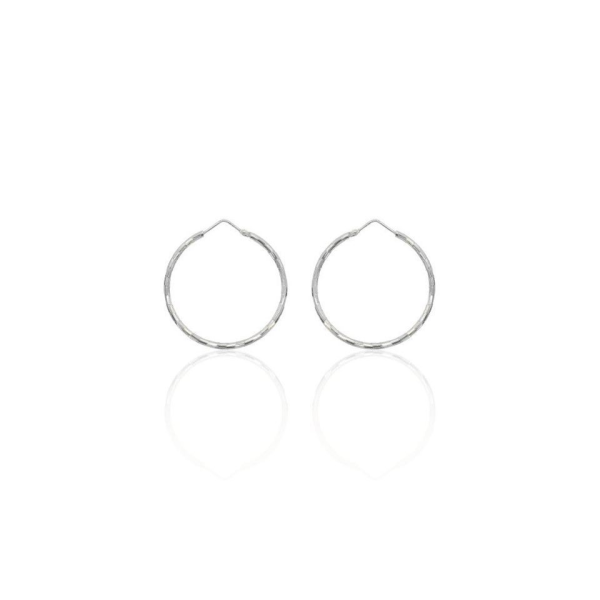 Boucles d'Oreilles  Argent 925/1000