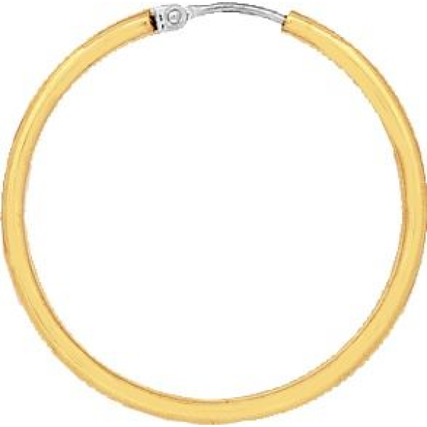 Boucles d'Oreilles  Or 750/1000