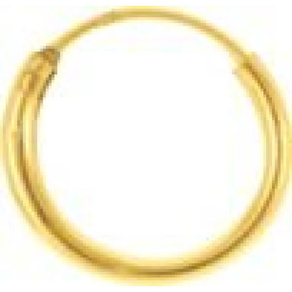 Boucles d'Oreilles  Plaqué Or