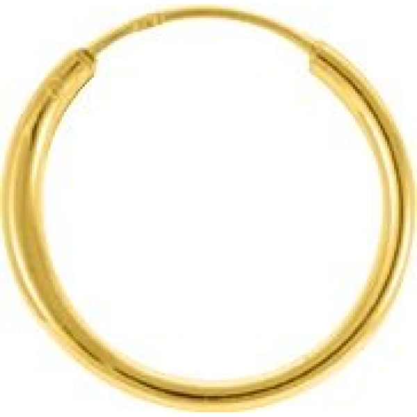 Boucles d'Oreilles  Plaqué Or