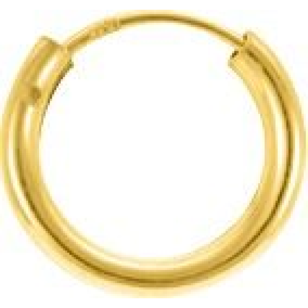 Boucles d'Oreilles  Plaqué Or