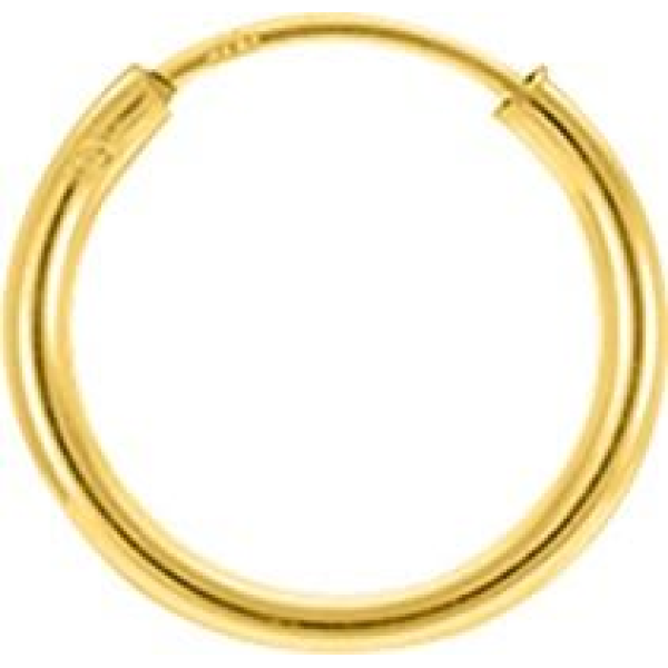 Boucles d'Oreilles  Plaqué Or