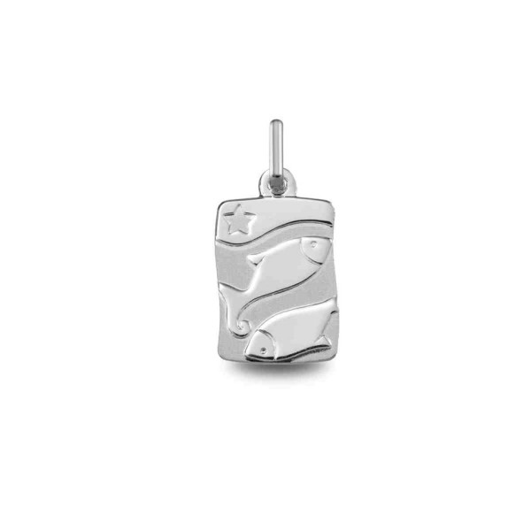 Pendentif  Argent 925/1000