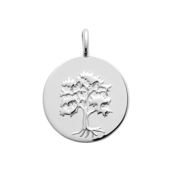 Pendentif  Argent 925/1000