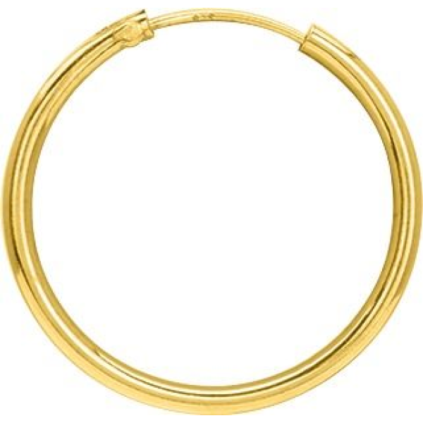 Boucles d'Oreilles  Plaqué Or