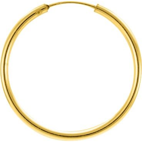 Boucles d'Oreilles  Plaqué Or