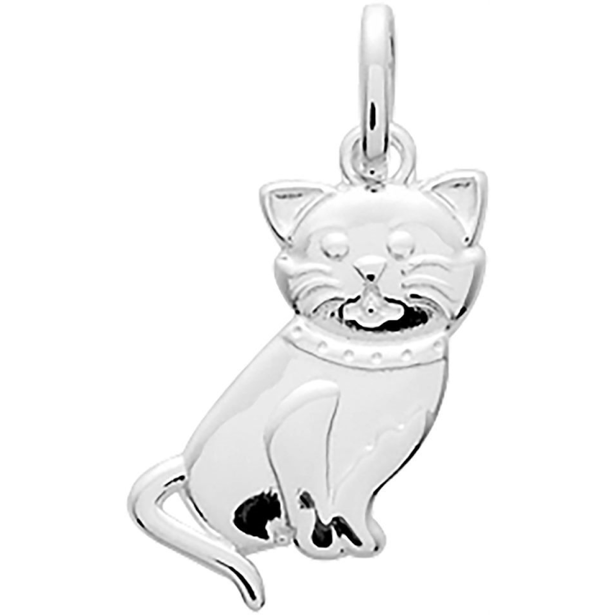 Pendentif  Argent 925/1000