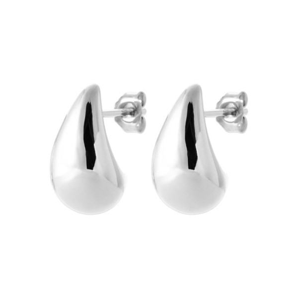 Boucles d'Oreilles  Argent 925/1000