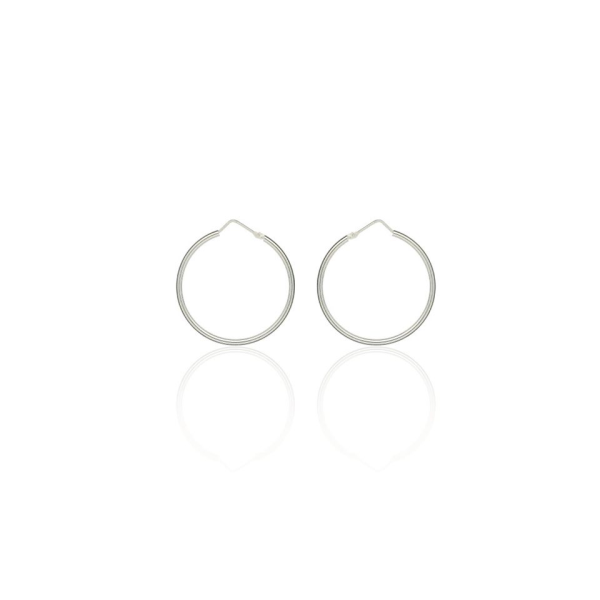 Boucles d'Oreilles  Argent 925/1000