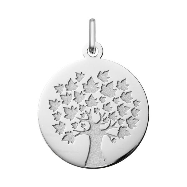 Pendentif  Argent 925/1000