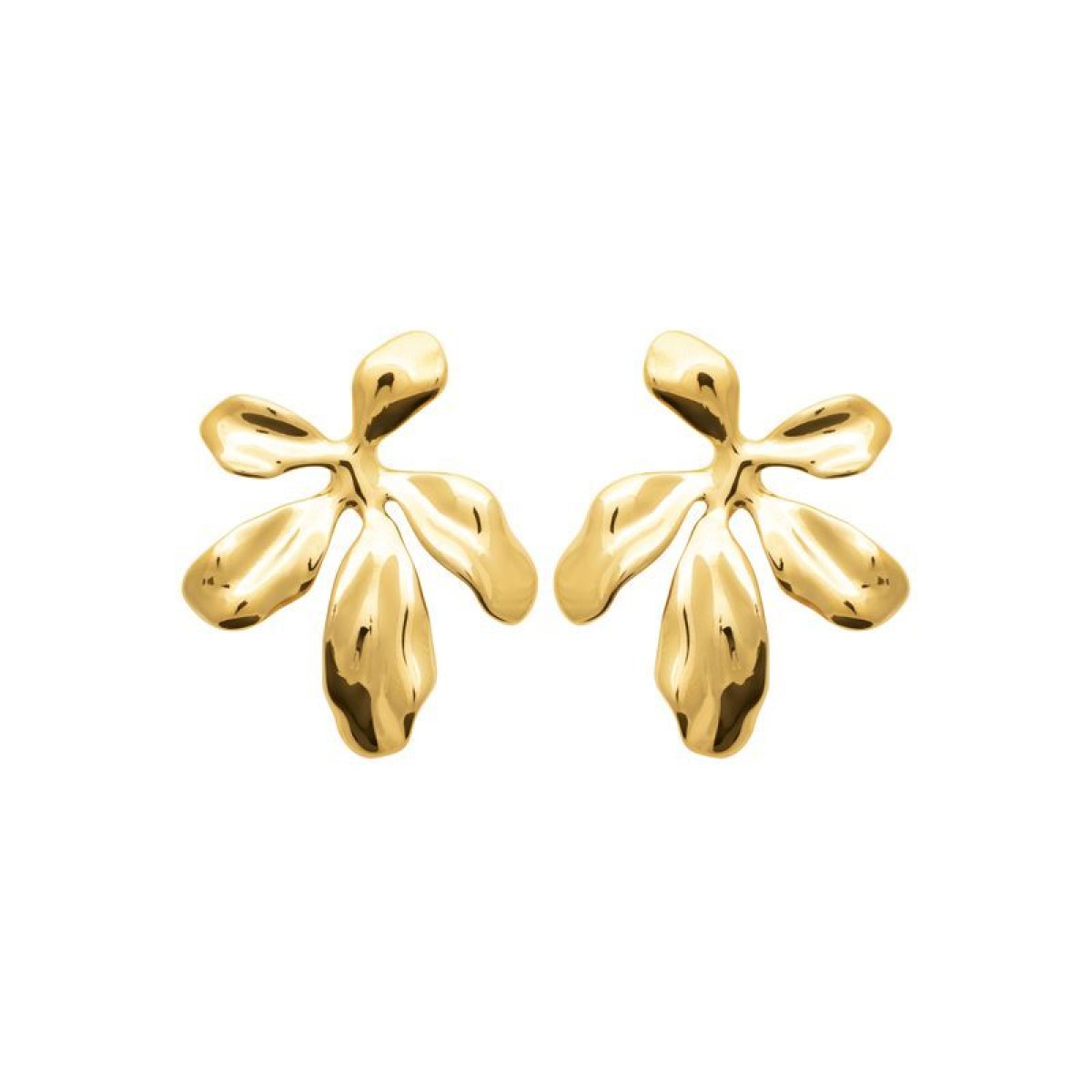 Boucles d'Oreilles  Acier