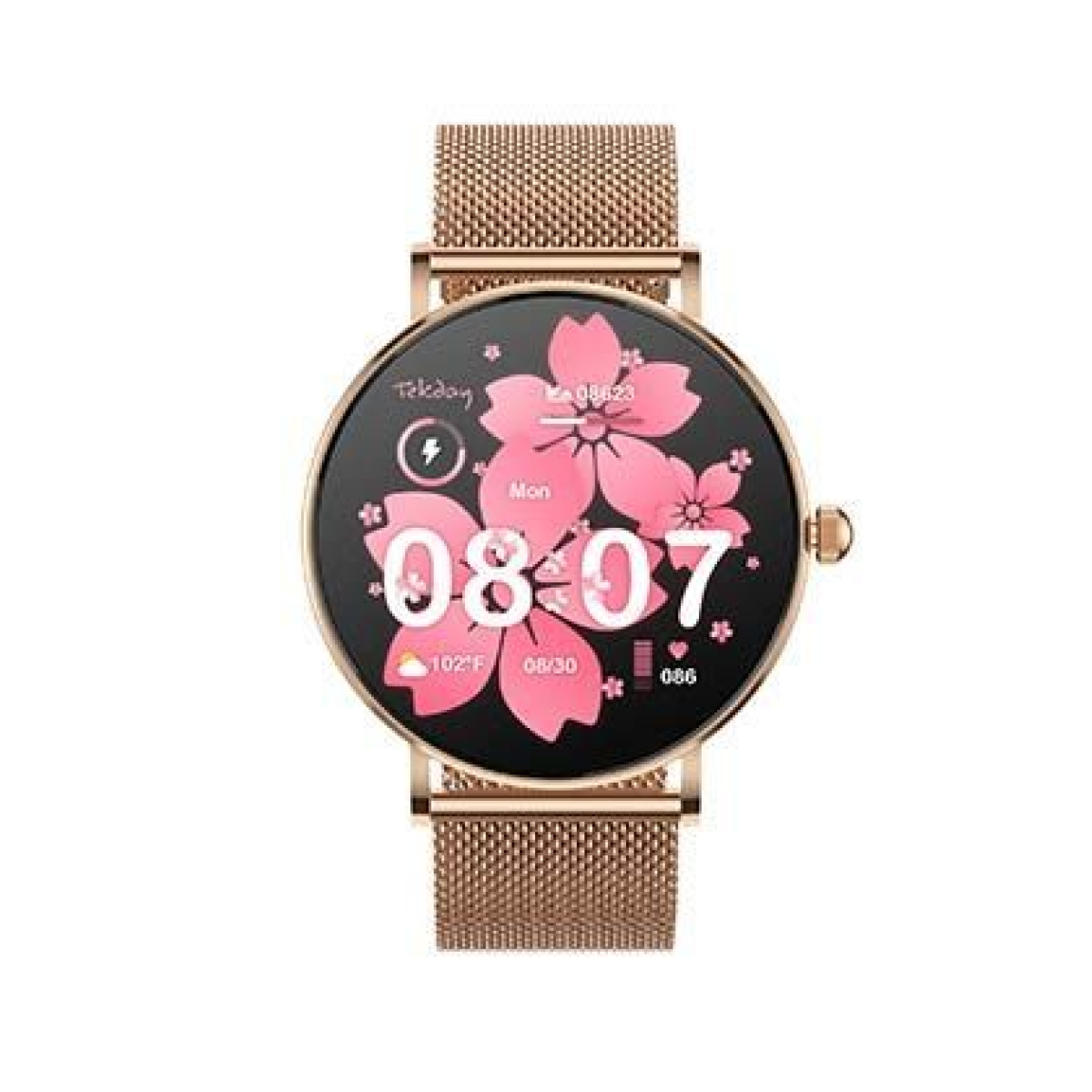 MONTRE TEKDAY   Connectee