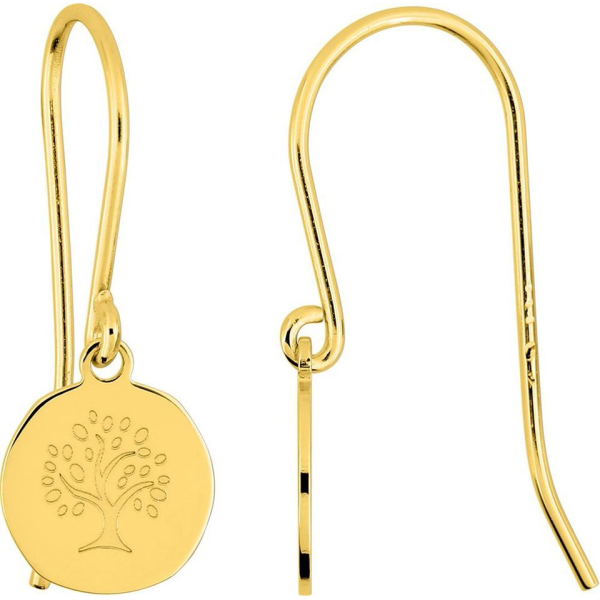 Boucles d'Oreilles  Plaqué Or