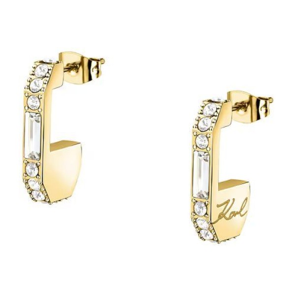 Boucles d'Oreilles  Acier Oxyde de Zirconium