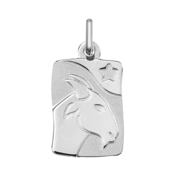 Pendentif  Argent 925/1000