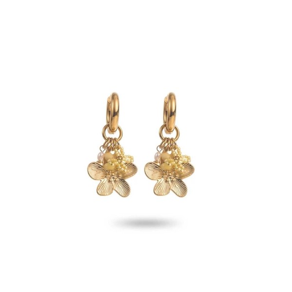 Boucles d'Oreilles  Acier