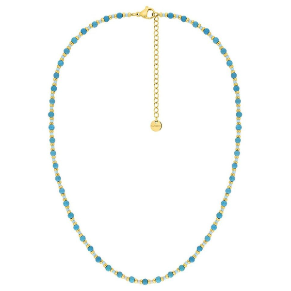 Collier  Acier